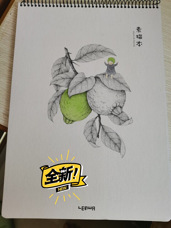 素描本，尺寸252*353mm，共25张