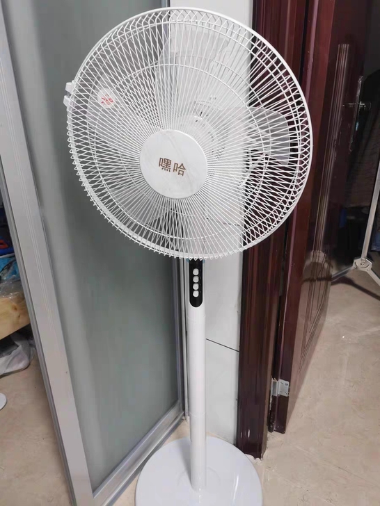 全新电风扇静音遥控落地扇家用电扇