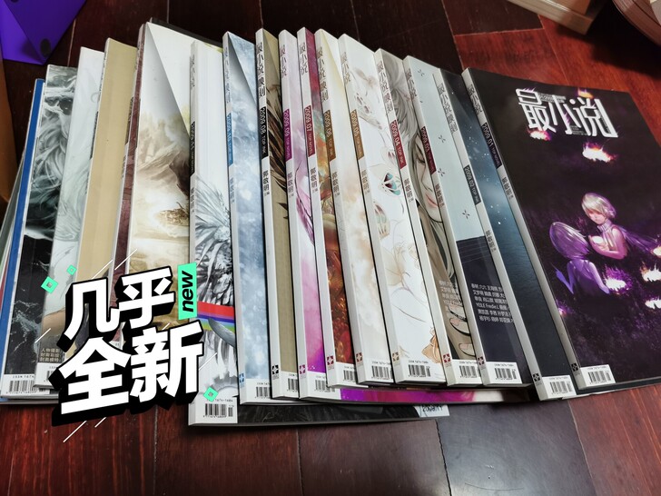 最小说 2009年17本，2010年3本，...