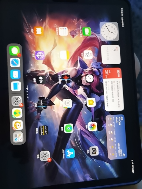 个人自用 2021 M1 ipad pro...