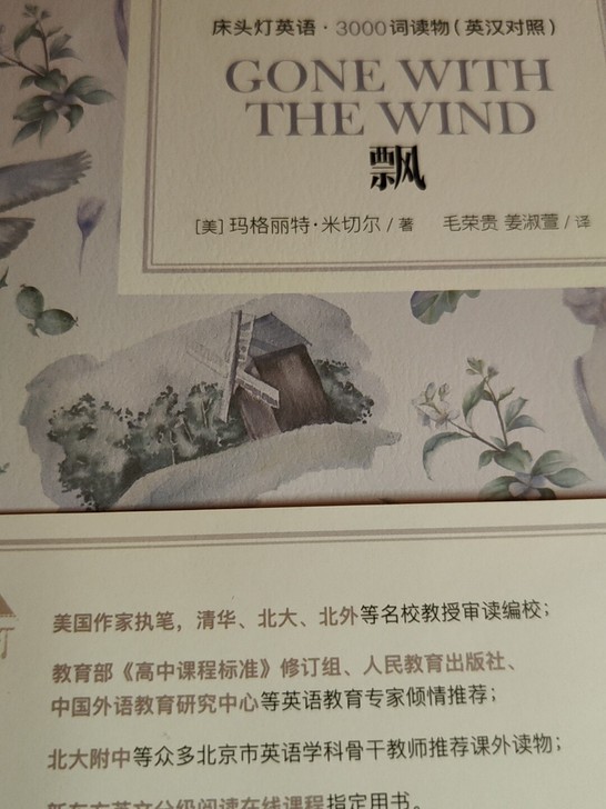 局外人。飘。天涯双探。毕淑敏散文集。日本关...