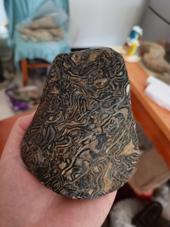 天然奇石龙纹石原石，造型石纹路精美，黑底细...