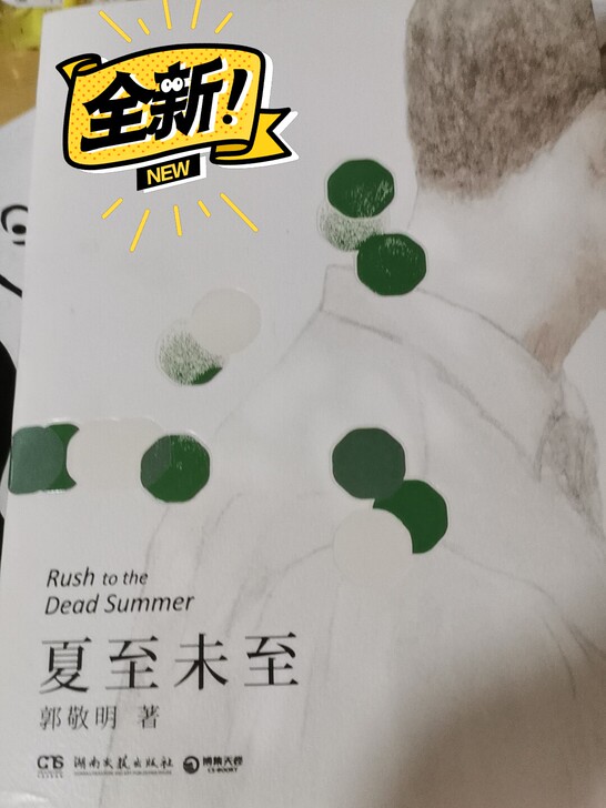 夏至未至 郭敬明