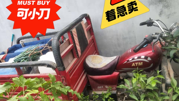 处理三轮摩托车，一点毛病没有