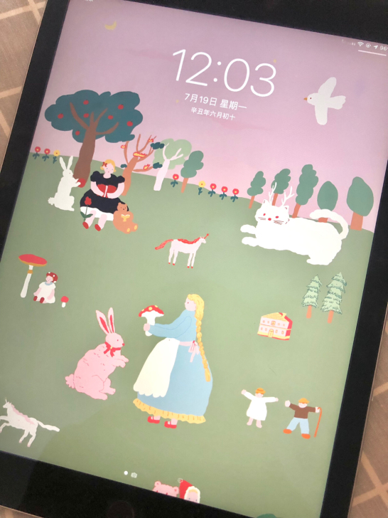 出自用闲置ipad！