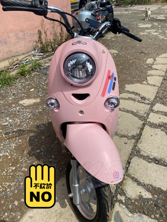 永久电动车，新国标，大品牌值得信赖，批发商...