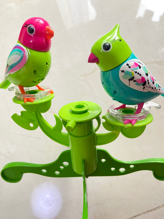 银辉silverlit合奏知音鸟趣味音乐 ...