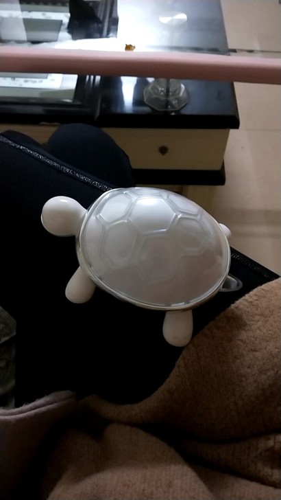 电子宠物乌龟，蓝牙音乐声控彩灯炫舞，开心和...