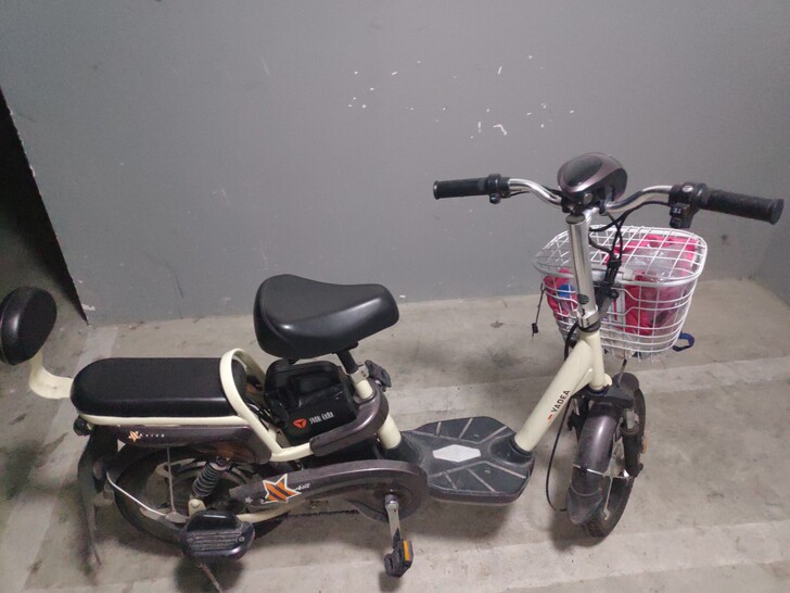 雅迪电动车，电池可拆卸，新国标。入手一年多...