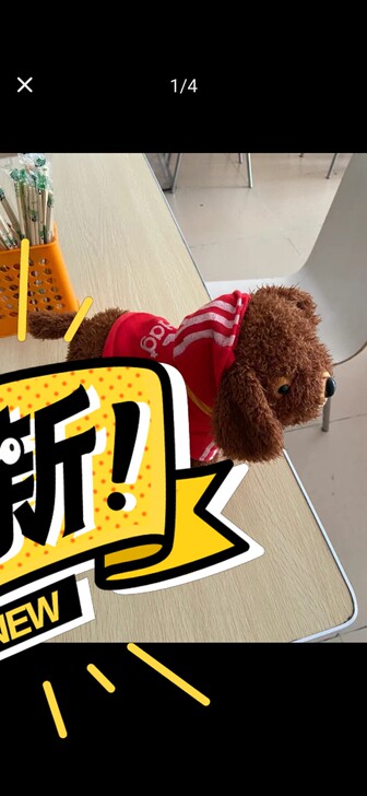 儿童电动毛绒玩具狗狗会唱歌仿真泰迪走路电子...