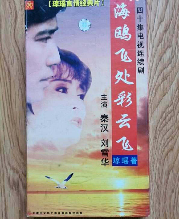 40集电视剧:琼瑶作品。海鸥飞处彩云飞(3...