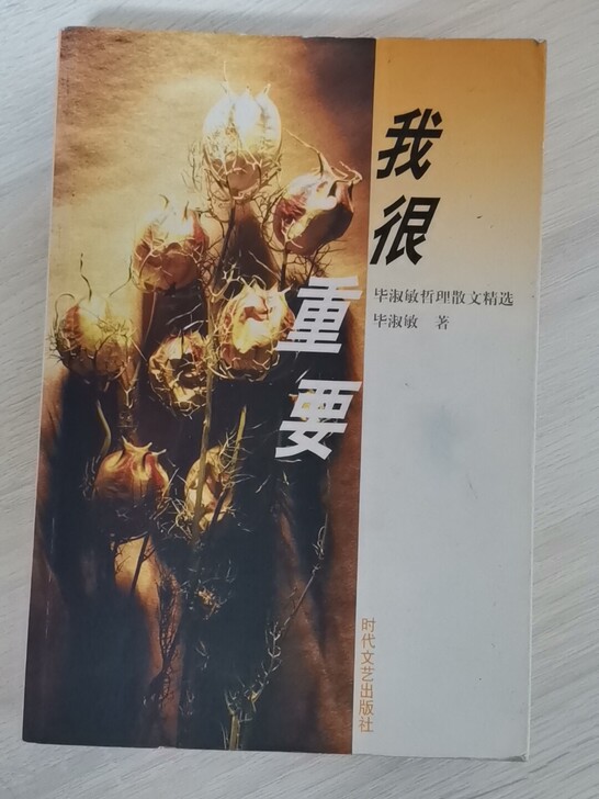 我很重要 毕淑敏 哲理散文精选