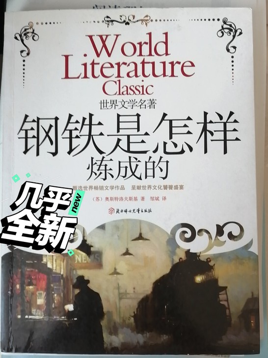 9年义务教育必读书籍$$##$$《钢铁是怎...