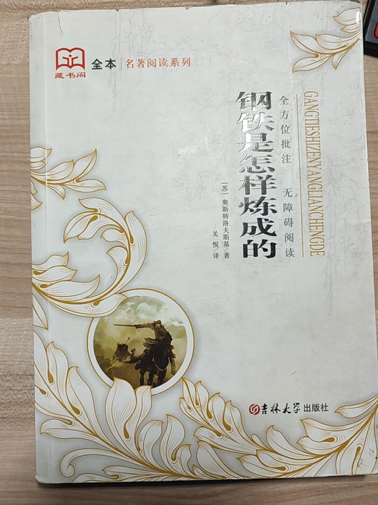 钢铁怎样练成的，使用没问题，成色看图片！
