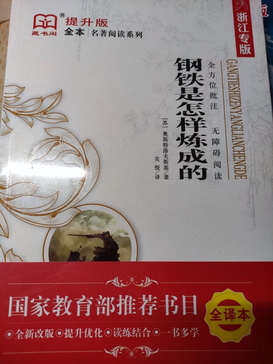 钢铁是怎样炼成的(附赠一本《给青年的12封...