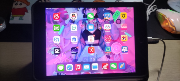 iPadmini5