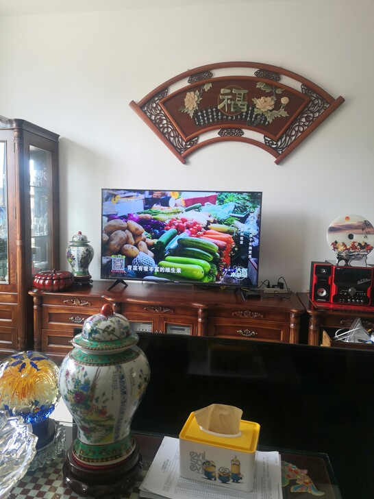 海信HZ50A55E，底座，主板都有，碎屏...