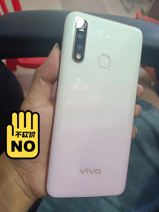 vivo Z5x