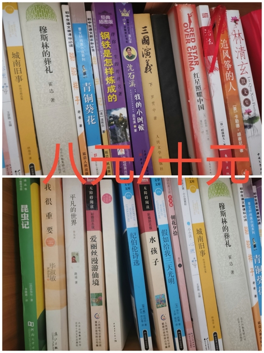 名著，文学作品