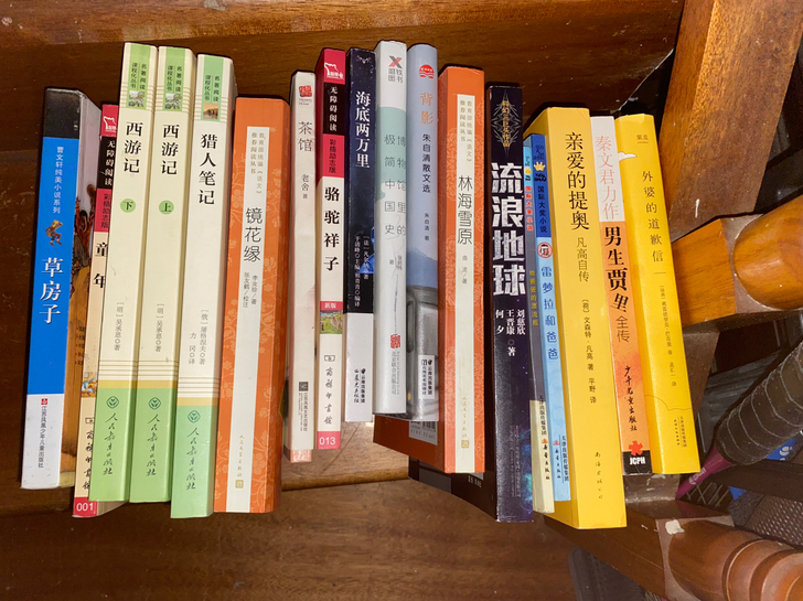 书籍 其中大部分为初中语文学习教材指定阅读...