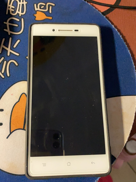 oppo r8007