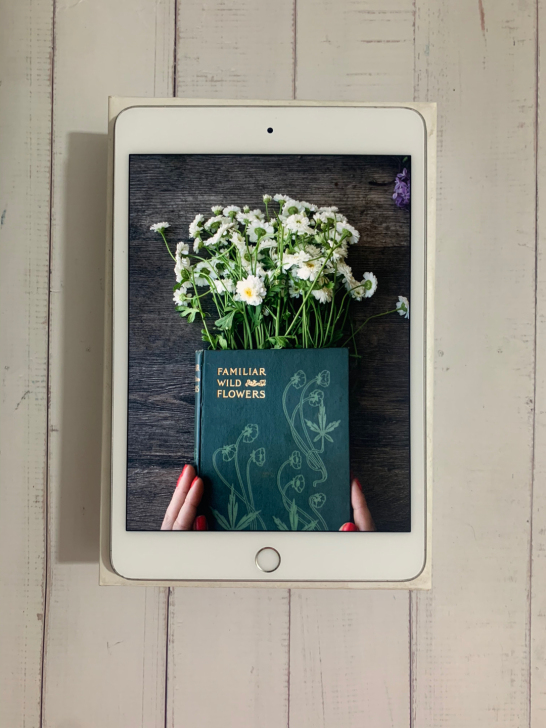 iPad mini5 64g 插卡版银色