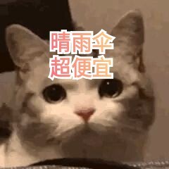 【南极人】晴雨伞 遮阳伞 折叠全自动 晴雨...