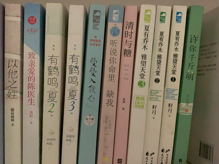 言情小说 青春记忆 都是看过的 也没有保护...