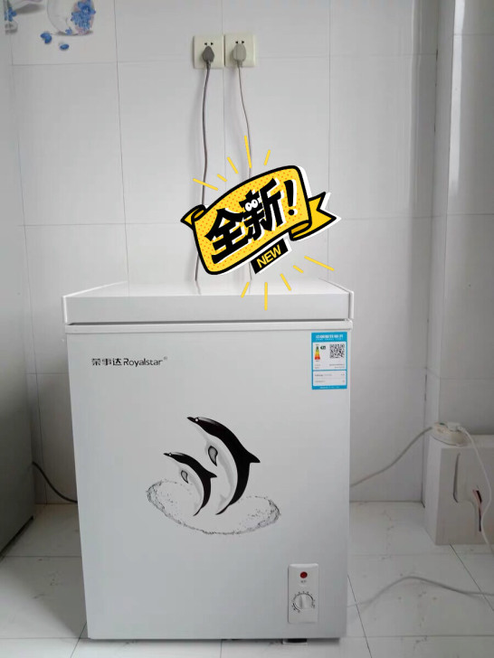 冷柜商用荣事达大容量家用小型全新迷你冷冻柜...