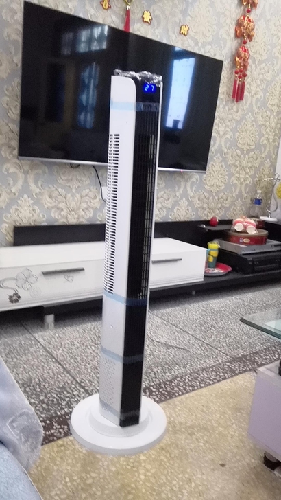 实体店房租到期，处理库存清仓6台先科塔扇，...