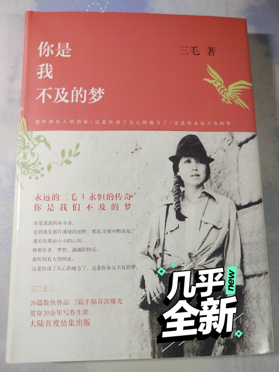 三毛《你是我不及的梦》 可刀