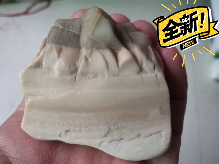精品奇石，戈壁沙漠漆牙石象形石，全玉化，打...