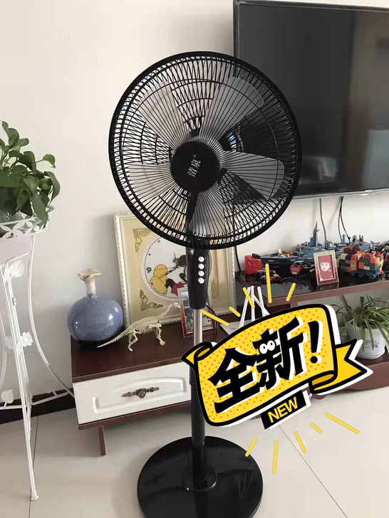 全新落地风扇，5片风叶扇，16寸的大尺寸，...