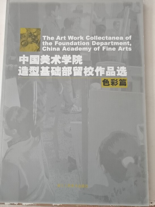 中国美术学院造型基础部留校作品色彩