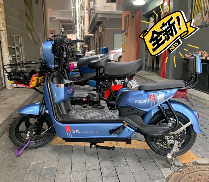 #全新 #实体店处理全新国标电动车电瓶车女...