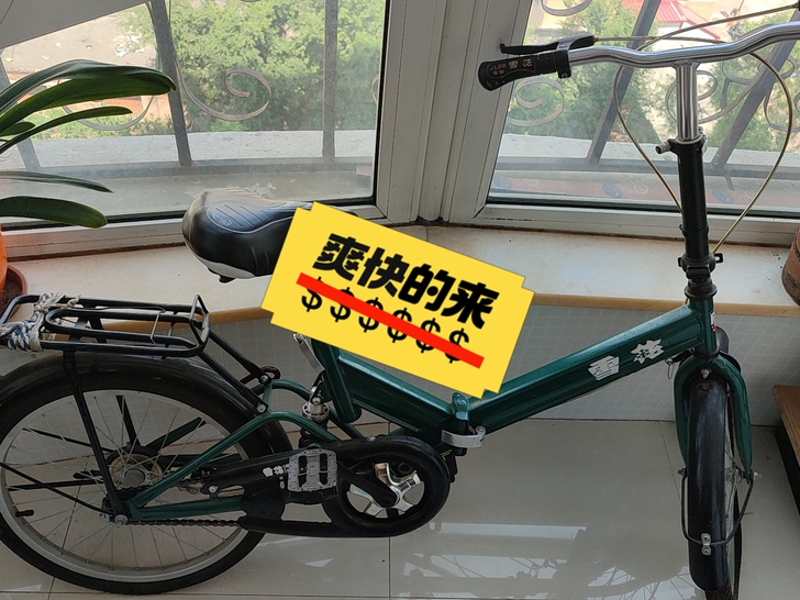 雪花折叠自行车，没怎么用过，放好几年了，轮...