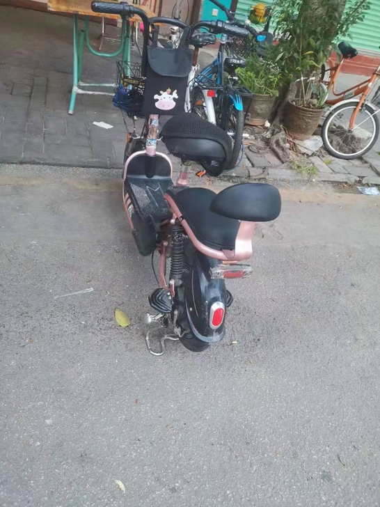 新日电动车，新旧看图片，电池还能跑30公里...