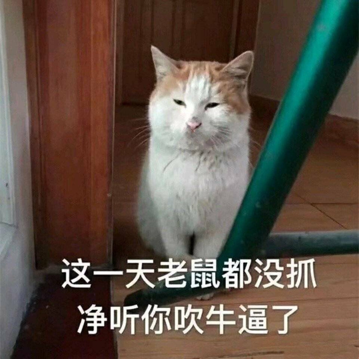 课程监督服务