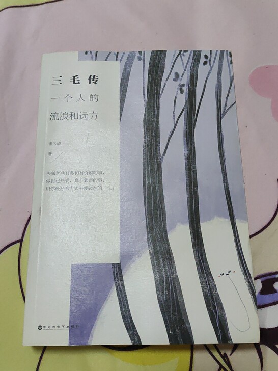 三毛传，一个人的流浪和远方，讲述的都是三毛...