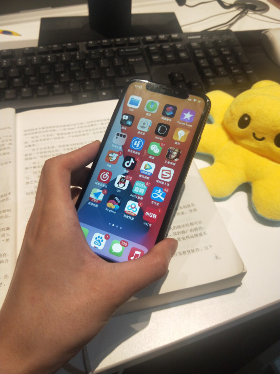 自用！美版无锁iPhonex256g面容坏...