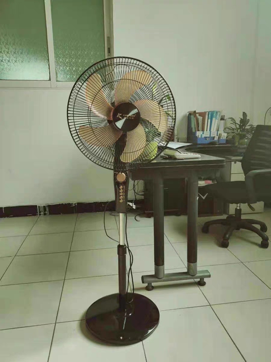 全新正品 16英寸四档定时落地扇家用电扇电...