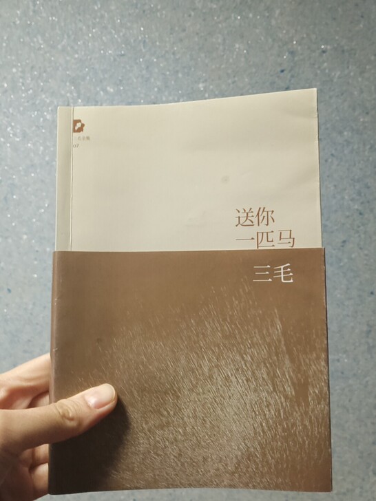 送你一匹马，三毛。