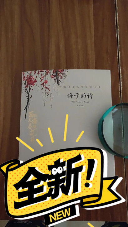 海子的诗 正版面朝大海春暖花开海子传记文学...