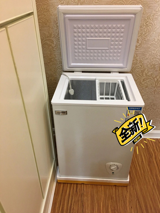 低价处理一台，家用冷柜 小冰柜家用小型迷你...