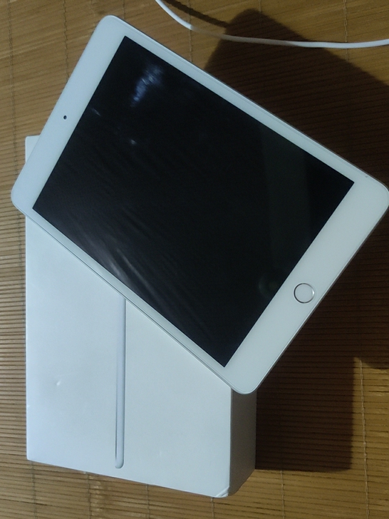ipadmini5