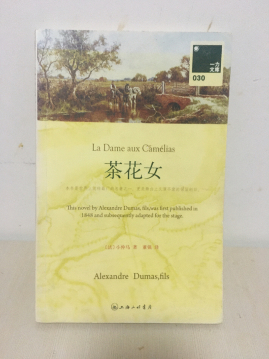 正版茶花女书籍原版中文版全译本法国小仲马