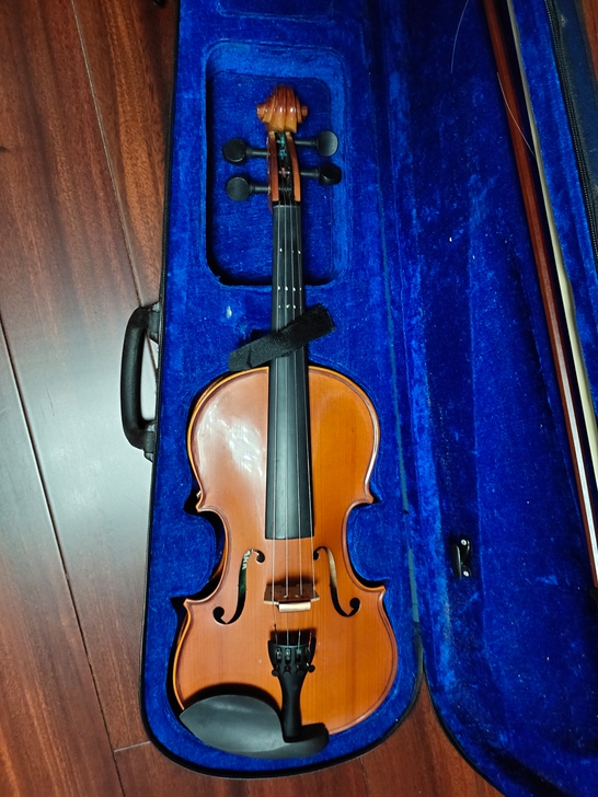 家中有闲置小提琴，4/4尺寸，几乎全新，适...