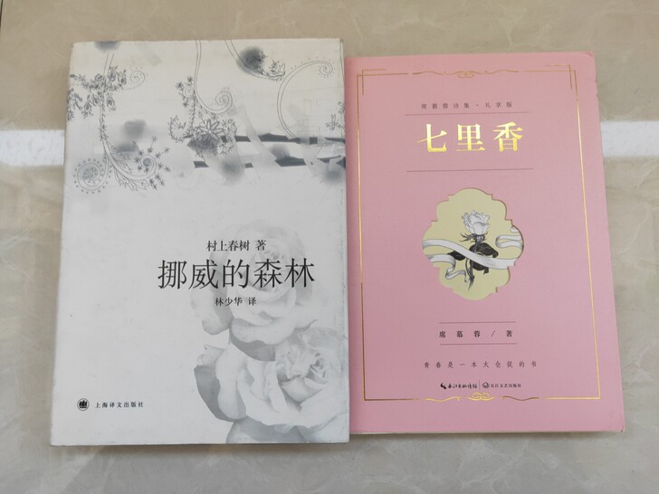 挪威的森林 七里香(共两本)