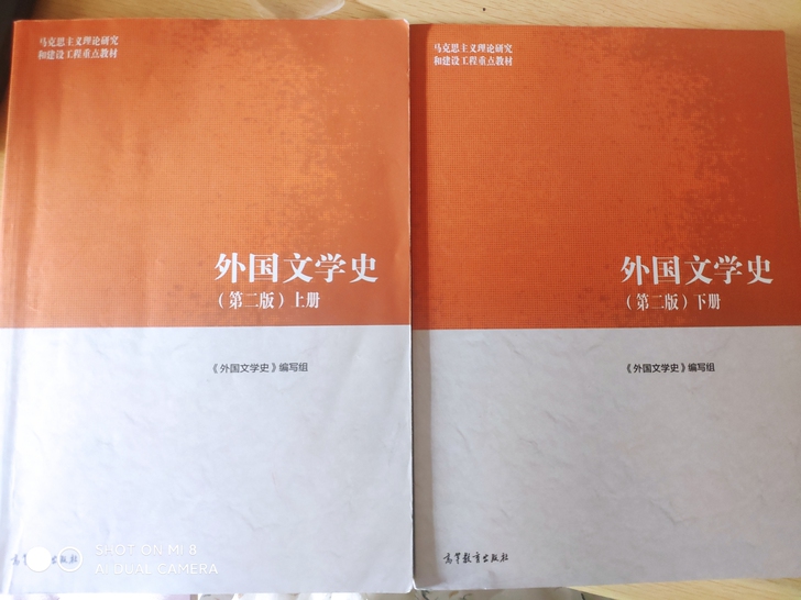 二手正版外国文学史 第二版上下册 聂珍钊 ...
