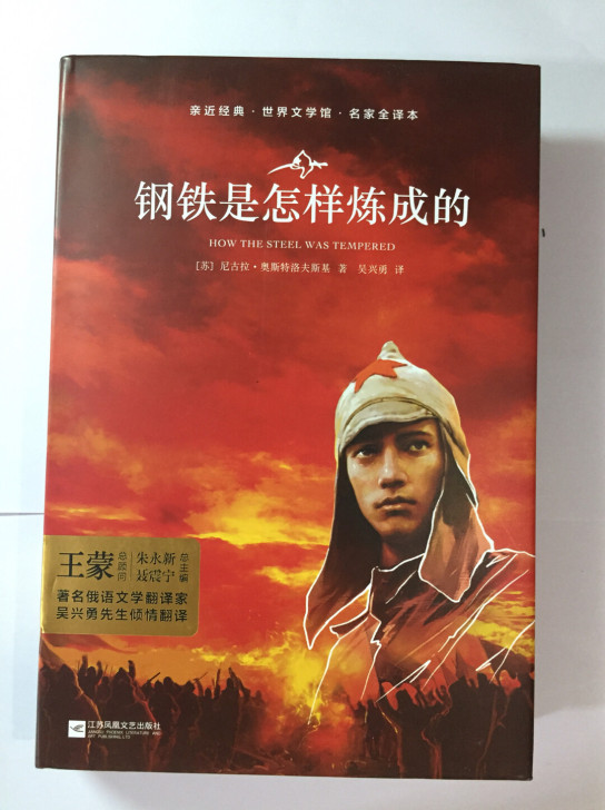 钢铁是怎样炼成的 江苏凤凰文艺出版，几乎全...